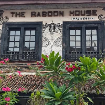 the baboon house outside.